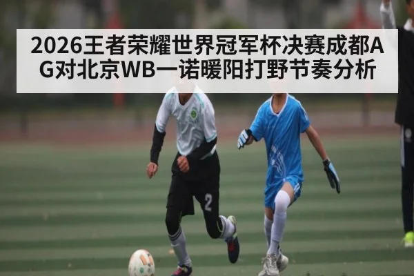 2026王者荣耀世界冠军杯决赛成都AG对北京WB一诺暖阳打野节奏分析